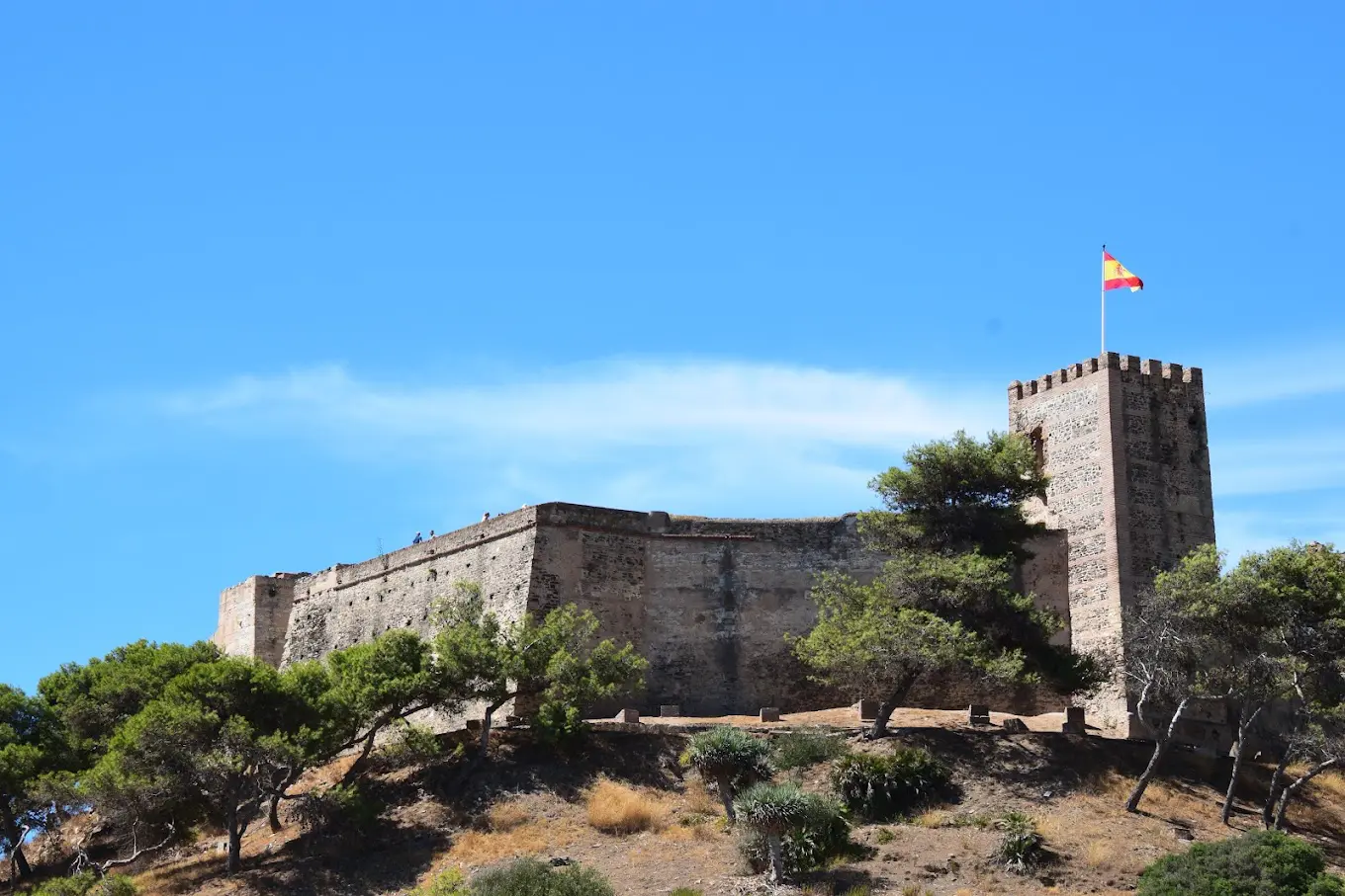 Castillo Sohail