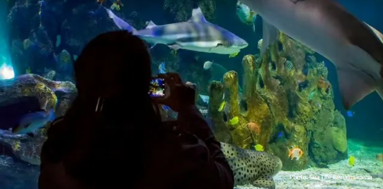 Snímka obrazovky 2025 12 15 205742