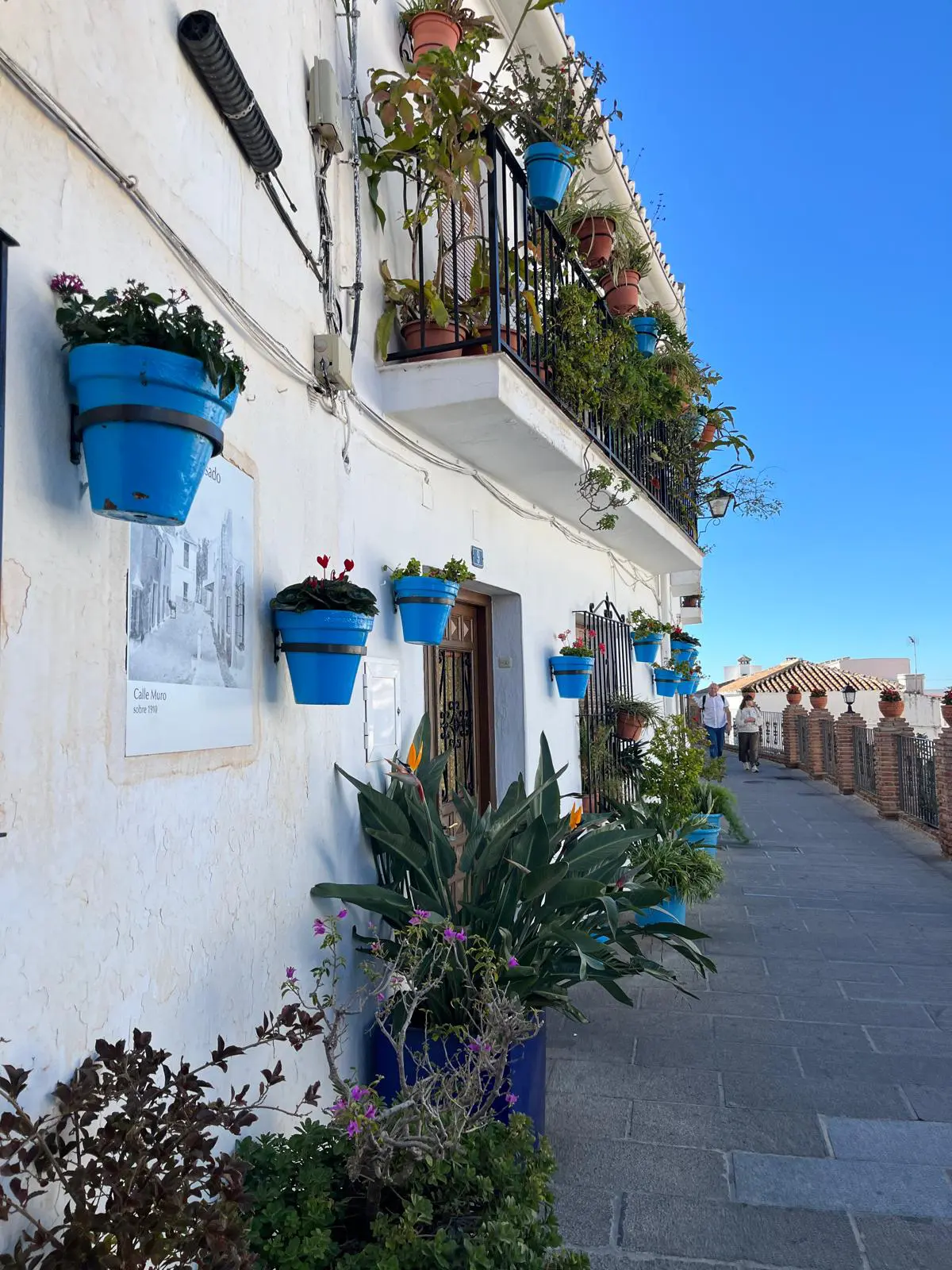 WhatsApp Image 2025 12 15 at 21.16.35