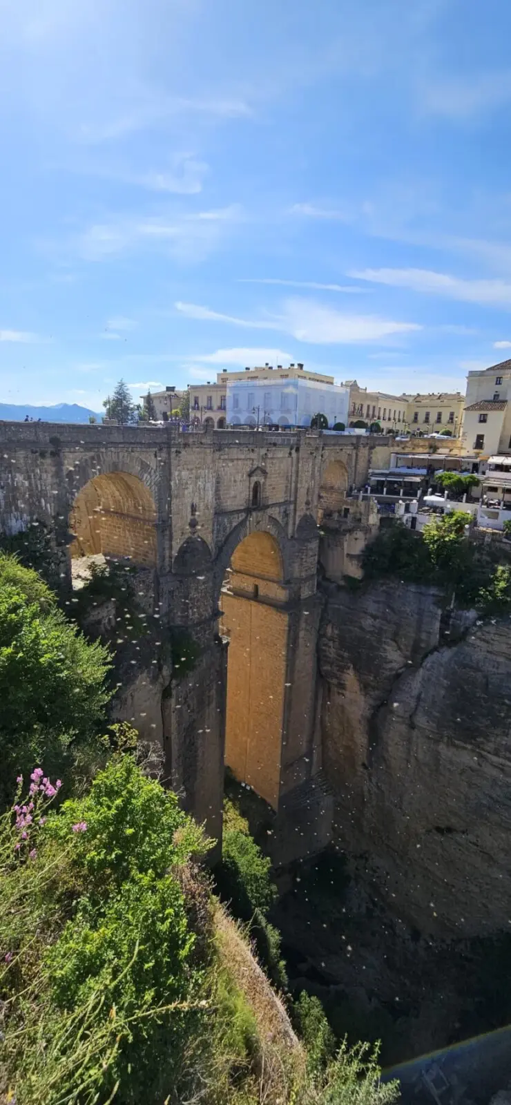 WhatsApp Image 2025 12 15 at 21.41.49