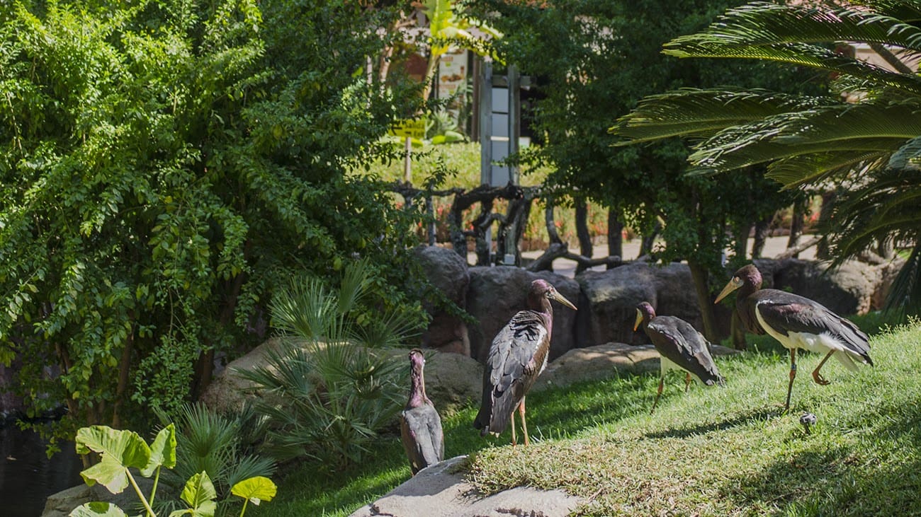 Biopark Fuengirola